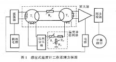 感应式盐度计检定规程